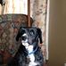 Judy Nolan - Facebook