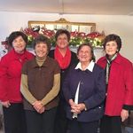 Judy Nolan Stephens - @judy_nolan_stephens____ - Instagram