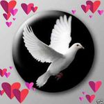 Judy O'Keefe - @okeefe3551 - Instagram