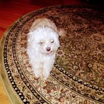 Judy Pardue Whynot - @truckerjude2959 - Instagram