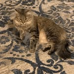 Judy Parsons - @judyparsons860 - Instagram