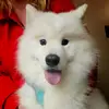 judyparsons135 - @judyparsons135 - TikTok