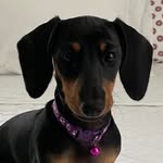 Judy Blake Paschall - @paschalljudy - Instagram