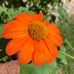 Judy Patton - Facebook