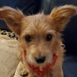 Judy Patton Hall - @judyleehall - Instagram