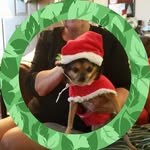 Judy Pepper - @grampep1 - Instagram