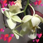 Judy Pepper - @imapepper48 - Instagram