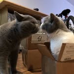 PEPPER & JUDY - @pepper_and_judy - Instagram