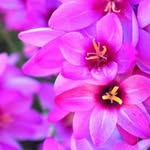 Judy - @judy_a_perryman - Instagram
