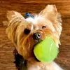 judyperryman824 - @judyperryman824 - TikTok