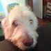 Judy Pickens - Facebook