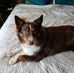 Judy Poff - Facebook