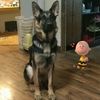 Judy Poff - @30203712873 - TikTok