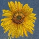 Judy Holton Poling - @judyholtonpoling - Instagram