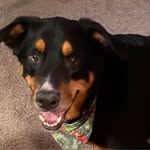 Judy Poling Simon - @jgsimon830 - Instagram