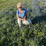 Judy Postle - @judy.postle - Instagram