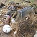 Judy Pullen - Facebook