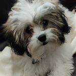 Judy Pulliam - @pulliamjudy - Instagram