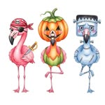 Judy Pullum - @bunky43 - Instagram