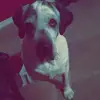 judyputtbrowne - @judyputtbrowne - TikTok
