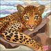 Judy Pyle - Facebook