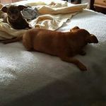 Judy Quick - @quick.judy - Instagram