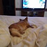 Judy Quick - @judy.quick.1466 - Instagram