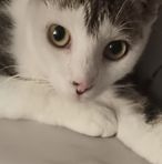 Judy Quick - Facebook