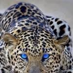 Judy Raber - @rabejud - Instagram