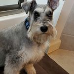 Judy Rawls - @bwjrawls - Instagram