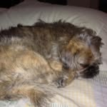 Judy Reading - @judy.reading.98 - Instagram