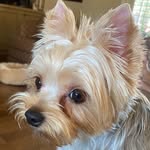Judith Givens Reddick - @reddickjudith - Instagram
