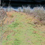 @judyredman1959 - Instagram