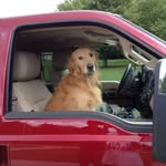 Judy Reiser - @judy_reiser9711 - Instagram