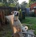Judy Rickards - Facebook