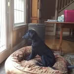 Judy Riedel - @jriedel9246 - Instagram