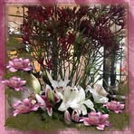 Judy Riedel - Facebook