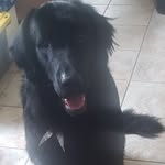 Judy Riedel - @riedeljudy - Instagram