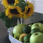 Judy Riedel - @judyriedel - Instagram