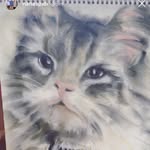 Judy Riedell - @judyriedell - Instagram