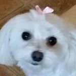 Judy Rigby - @judyrigby1007 - Instagram