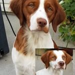 Judy Ring - @judy.ring.940 - Instagram