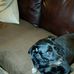 Judy Ritz - Facebook