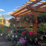 Judy’s Enchanted Garden - @judyritzdalnes - Instagram