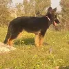 Judith Rivero Gonzalez - @judithriverogonzalez - TikTok