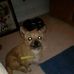Judith Robb - Facebook
