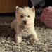 Judy Robb - Facebook