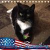 judyrobb416 - @judyrobb416 - TikTok
