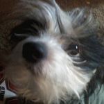 Judy Rohr - @judyrohrr - Instagram