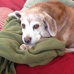 Judy Rohrer - @rohrer.judy - Instagram